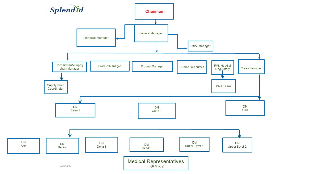 Pharmaceutical Organization Chart